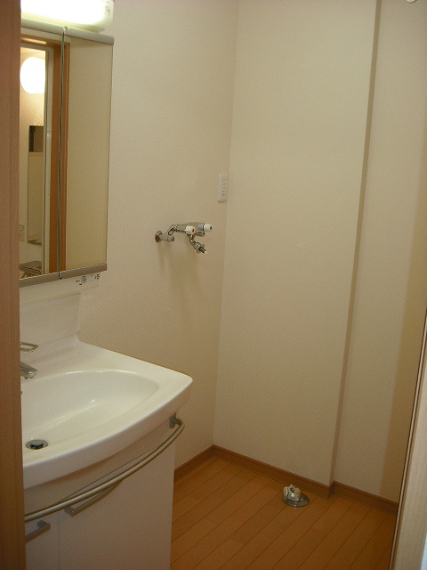 Washroom. Washbasin & Laundry Area