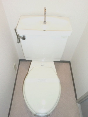 Toilet. Toilet