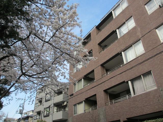 Local appearance photo. * It is a photograph that was taken in the season of cherry blossoms.