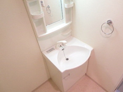 Washroom. Shampoo dresser