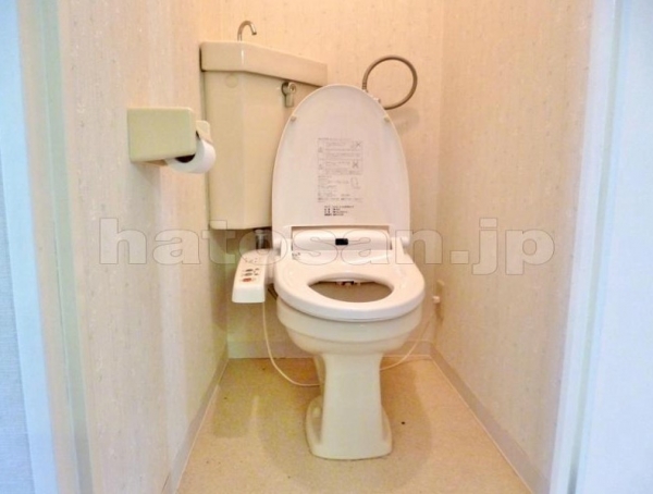 Toilet. Happy warm water toilet seat ☆