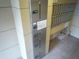 Other common areas. There courier BOX installation