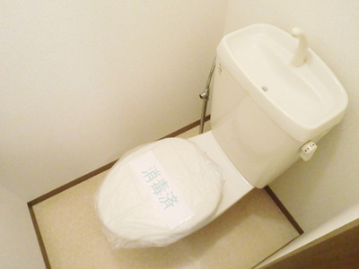 Toilet. It is a feeling of cleanliness drifts toilet
