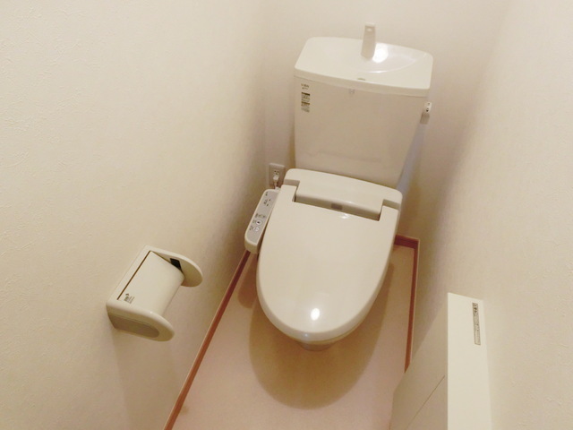 Toilet. Toilet is with a bidet with cleanliness