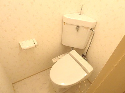 Toilet. Toilet