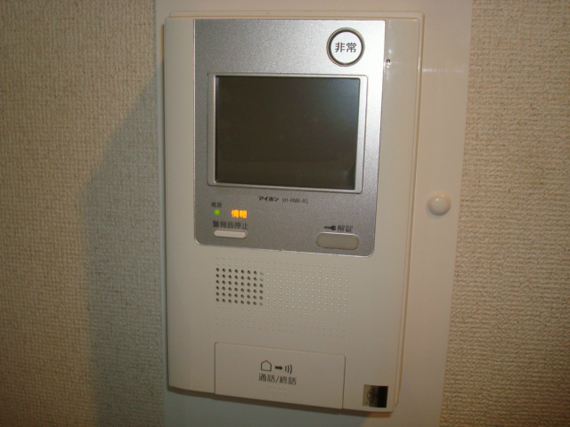 Security. Interphone with a monitor