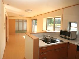 Same specifications photos (living). Example of construction