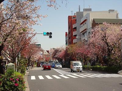 Other. Sakurashinmachi Station (Spring)