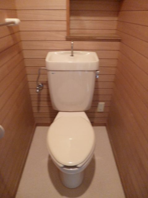 Toilet. Toilet