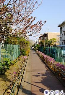 park. Also Jakuzure green road to cross the 240m in Setagaya until Jakuzure green road, It passes by property.