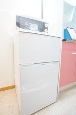 Kitchen. Refrigerator & microwave installation ☆