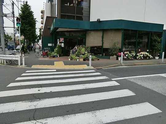 Other. Kinokuniya store Todoroki store (about 178.4m)