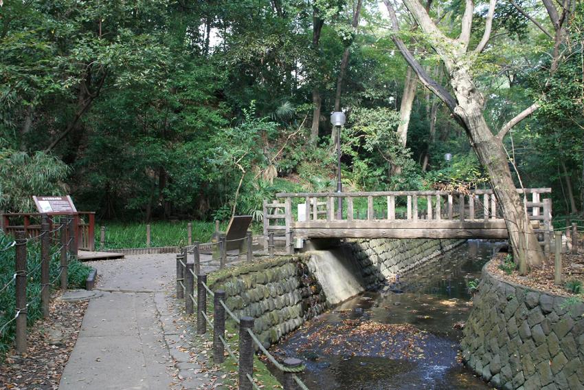 Streets around. In 880m Tokyo's 23 wards only valley to Todoroki Valley, This is where there is a precious natural.