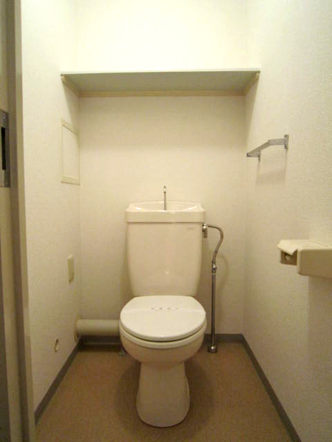 Toilet. With shelf