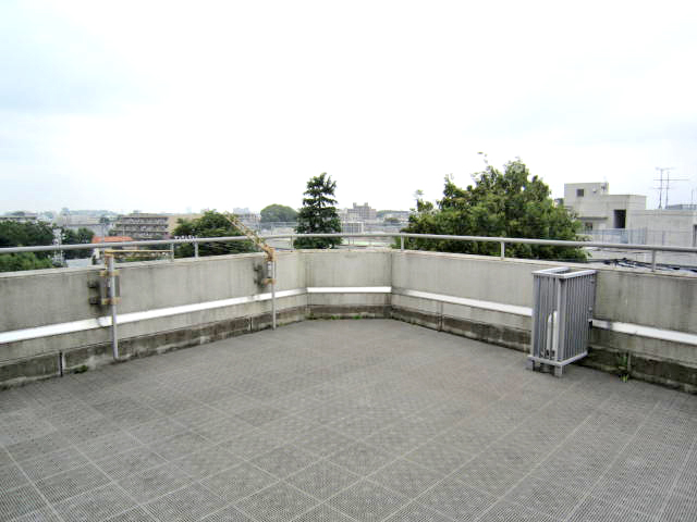 Balcony. roof balcony