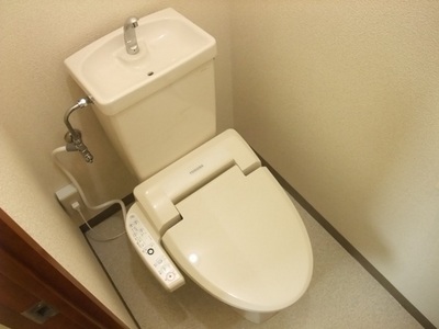 Toilet. Toilet