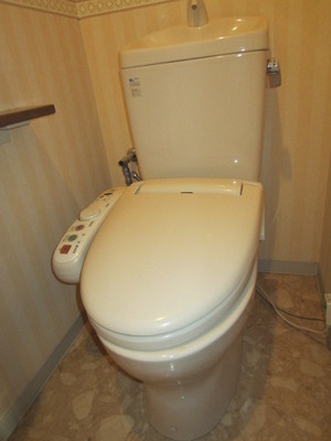 Toilet