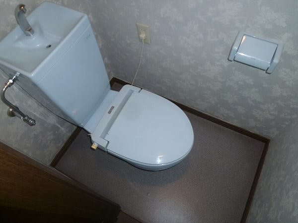 Toilet