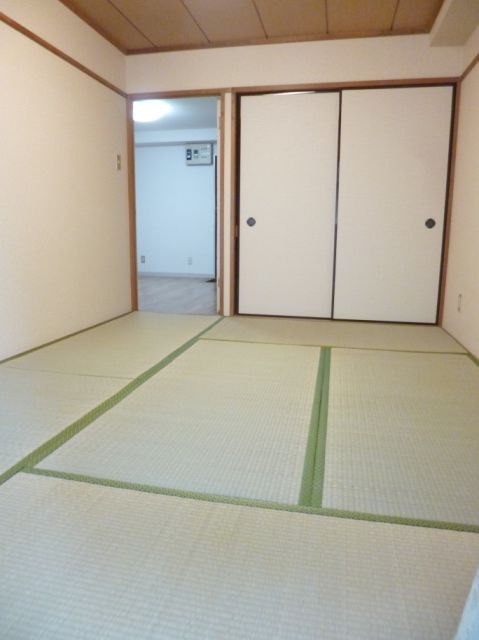 Living and room. Beautiful tatami