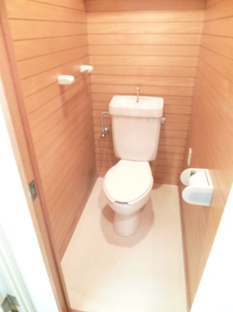 Toilet. Flooring