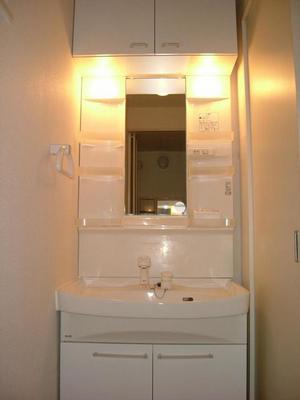 Washroom. Shampoo dresser