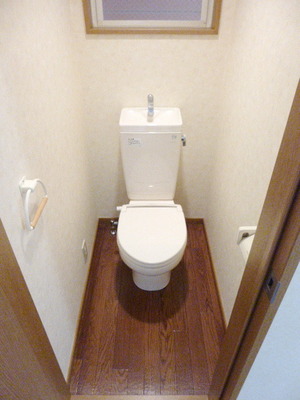 Toilet. Toilet