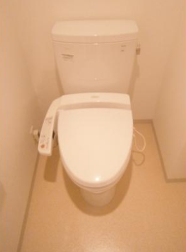 Toilet. Warm water washing toilet seat