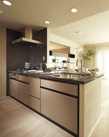 Interior.  [kitchen] (Model Room K-BDg type)