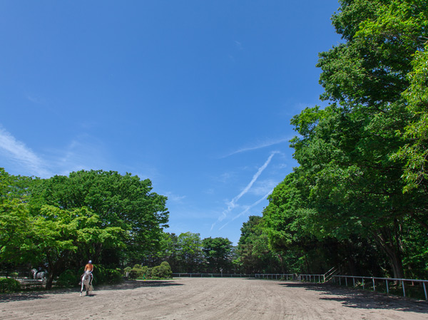 Surrounding environment. Umagotooyakesono (about 2800m from the local Sakura Garden ・ Walk 35 minutes / About 2800m from local maple Garden ・ 35-minute walk)