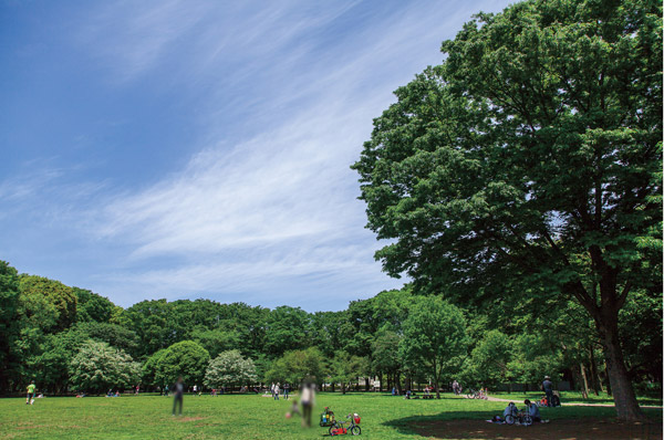 Lawn picnic plaza Ya, Kinutakoen the cycling course has been developed