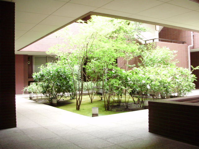 Other common areas. Beautiful courtyard.