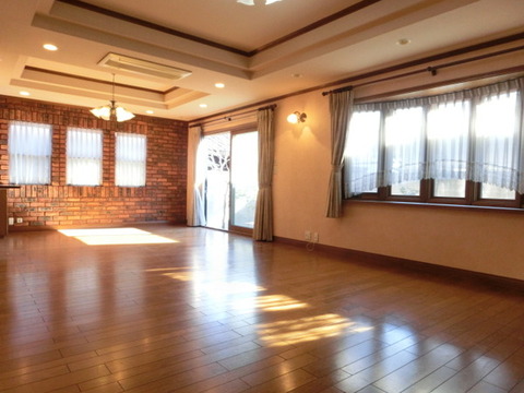 Living and room. Ceiling-mounted air conditioning