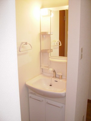 Washroom. Shampoo dresser