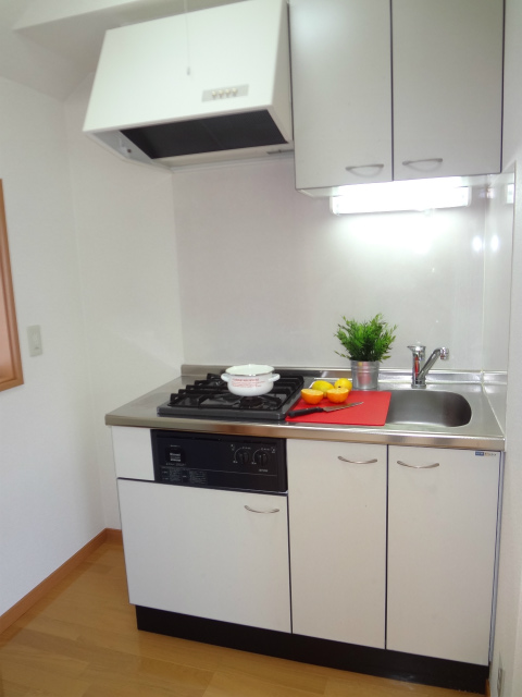 Kitchen. Ease dishes in 2 lot gas stoves