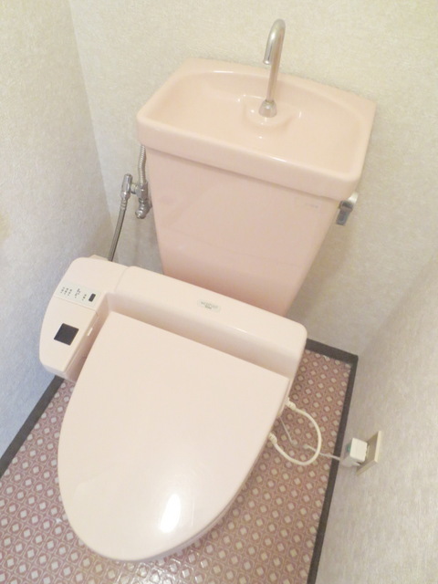 Toilet. Bidet with toilet