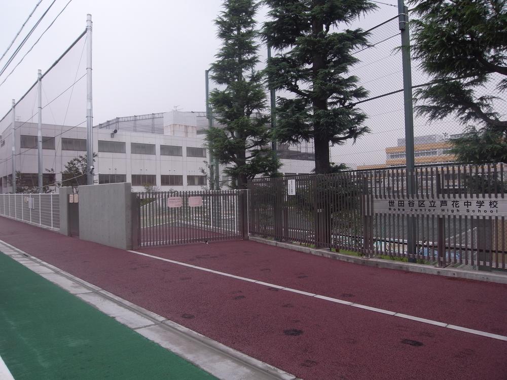 Junior high school. 815m to Setagaya Ward Roka Junior High School