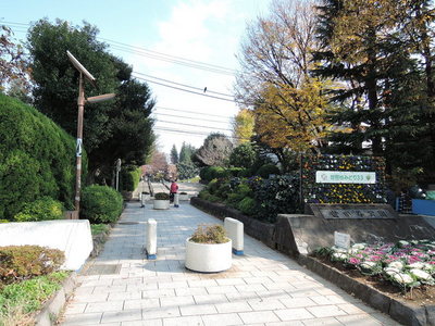 park. 248m to Setagaya Park (park)