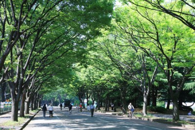 park. 510m to Komazawa Olympic Park (Park)