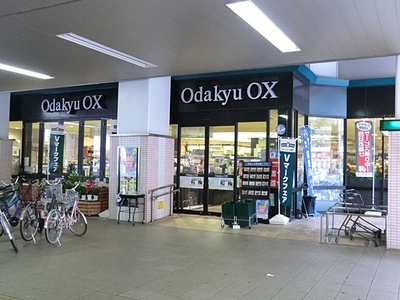 Supermarket. 640m to Odakyu OX (super)