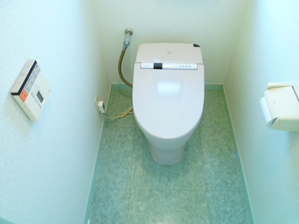 Toilet