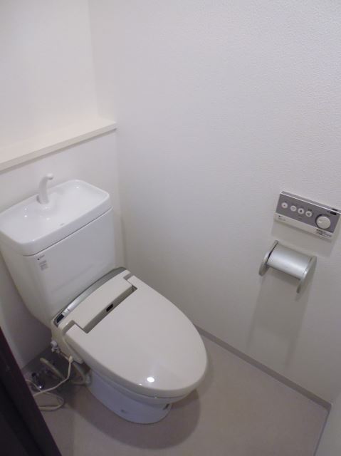 Toilet. Spacious living