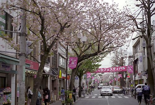 Streets around. 800m until the cherry trees