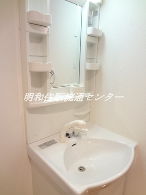 Washroom. Shampoo dresser