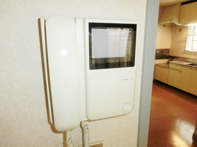 Security. It is the intercom with TV monitor