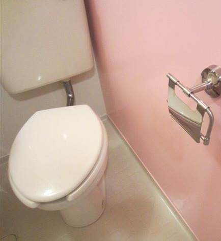 Toilet