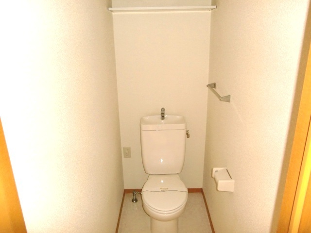 Toilet. Beautiful toilet