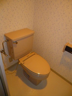 Toilet. Reference photograph (same properties ・ A separate room)