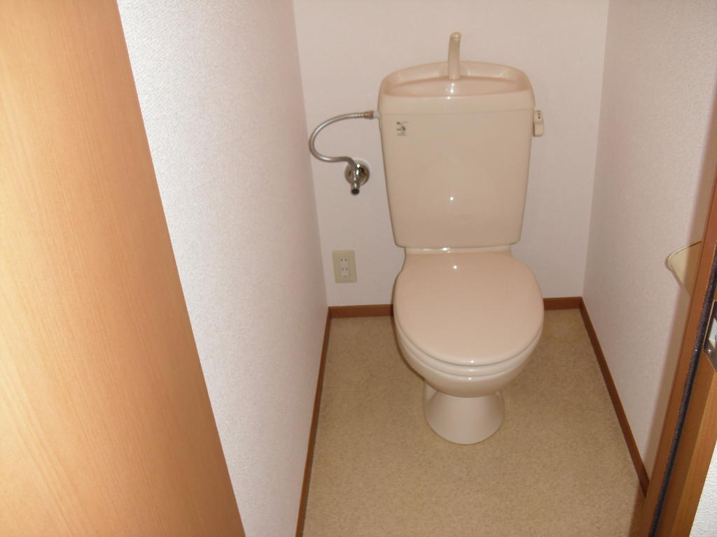 Toilet. No Washlet