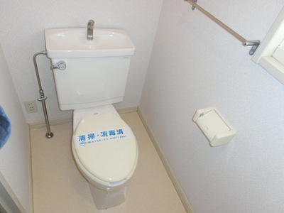 Toilet. It is a toilet with a clean