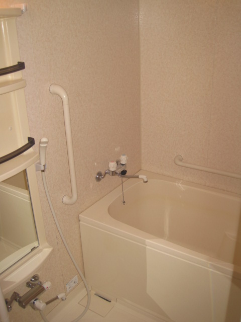 Bath. Add-fired feature with hot water supply